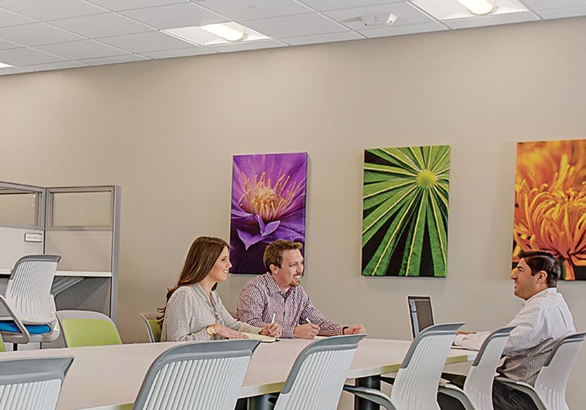 Applications Cree Lighting