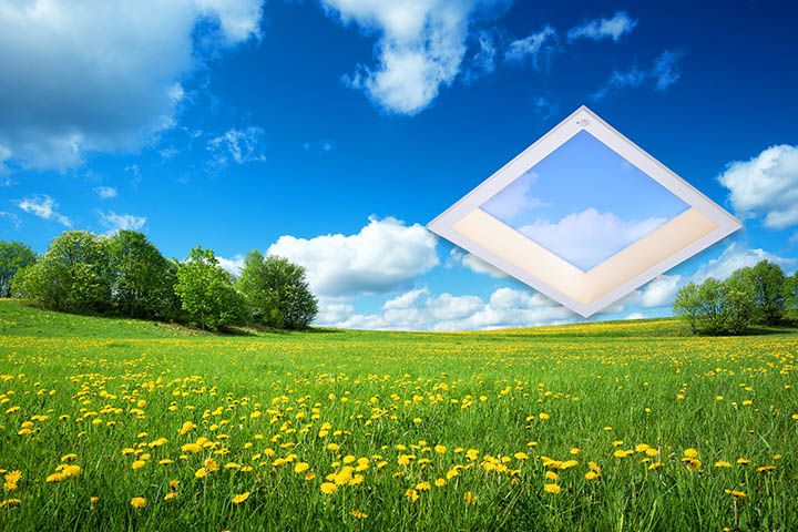graphic of a skylight in a field