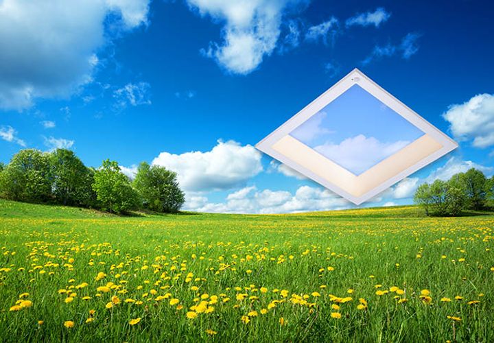 graphic of a skylight in a field