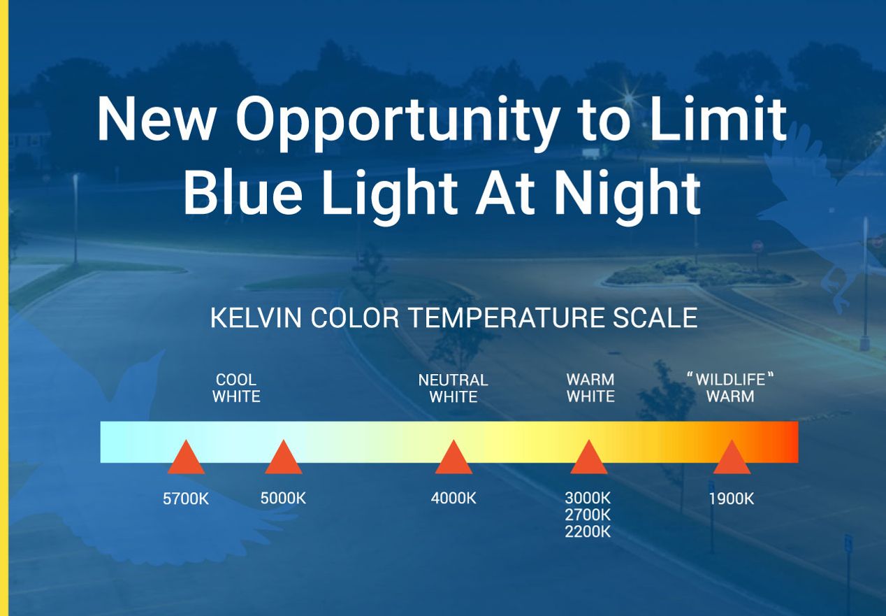 19K5 Blog Featured Image that features the Kelvin Color Temperature Scale